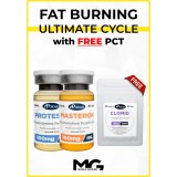 Testosterone Propionate and Masteron Cycle with Free PCT - 6 Weeks - Fat Burning and Lean Look