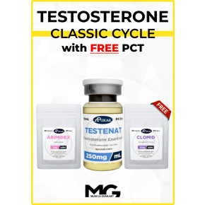 Testosterone Cycle with Free PCT - 8 Weeks - Muscle Mass