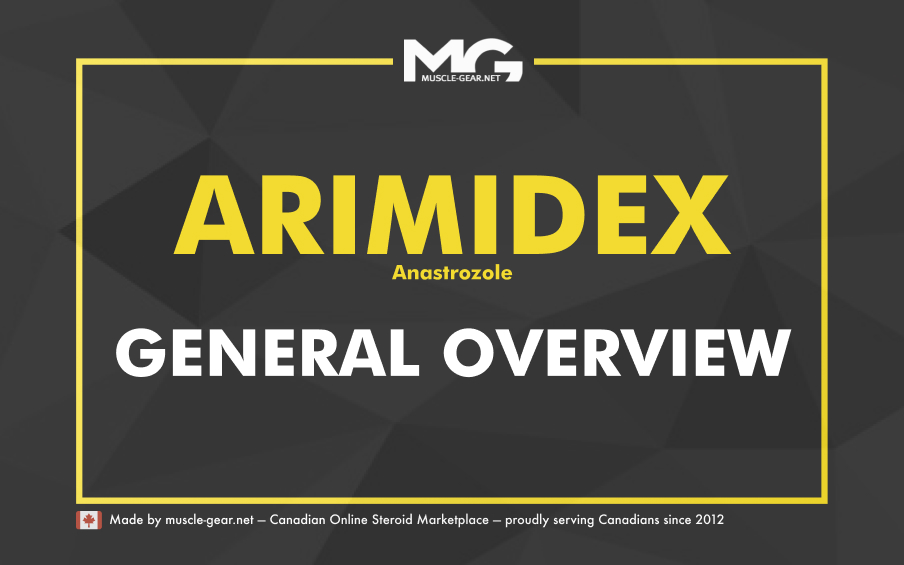 Arimidex — How It Works??