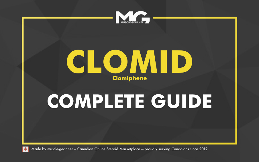 How Clomid Works
