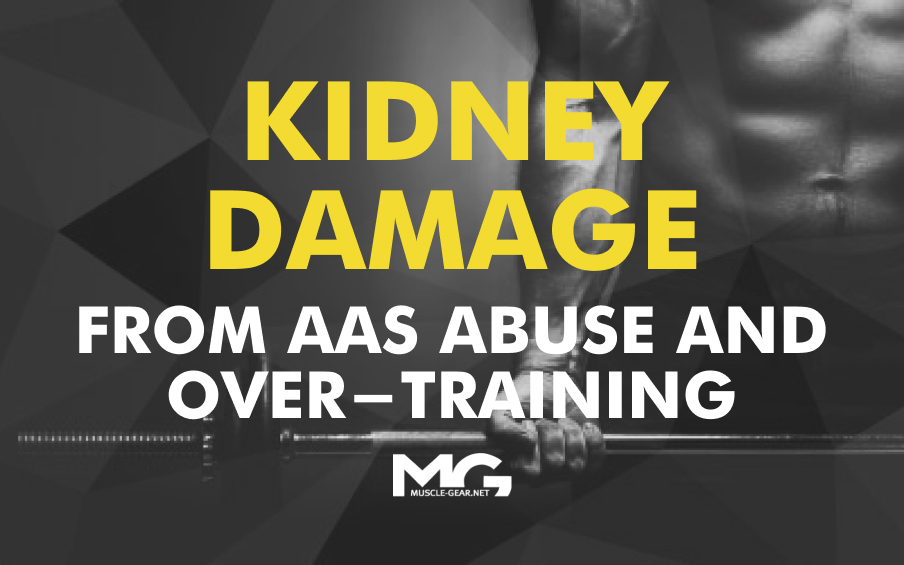 Kidney Damage from AAS Abuse, Supplements and Over-Training