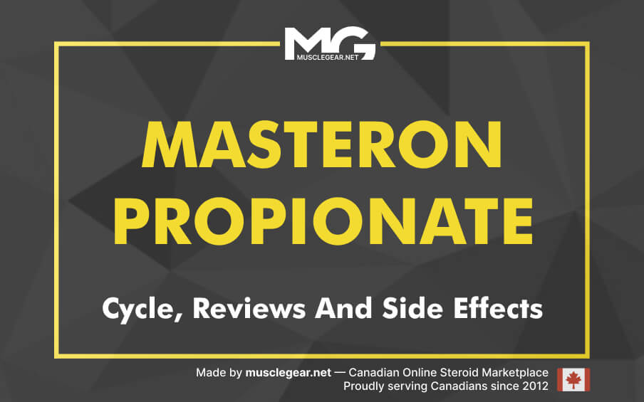 Masteron Propionate Cycle, Reviews and Side Effects