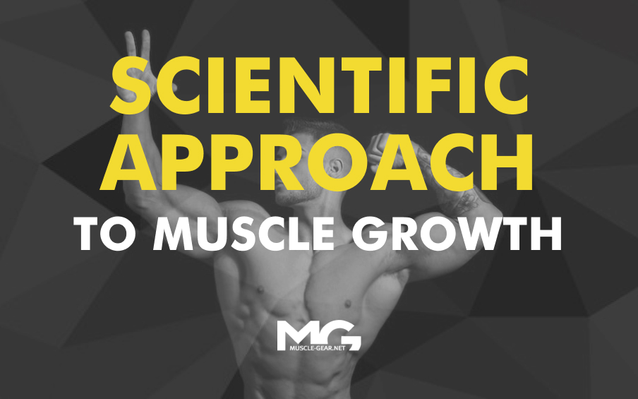 Scientific Approach to Muscle Growth
