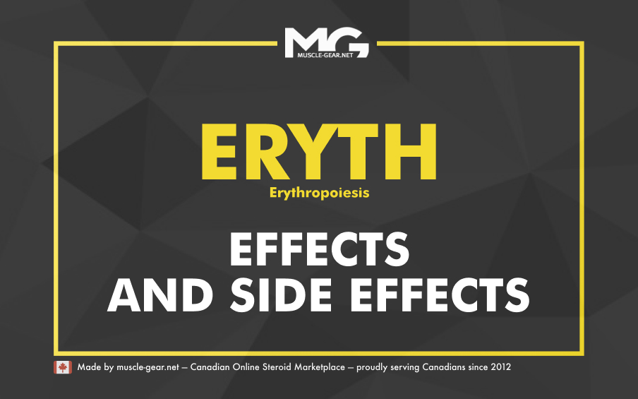 The Effects of Steroids on Bone Marrow and Erythropoiesis 