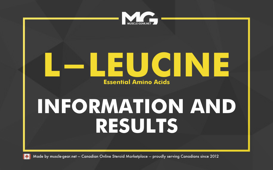 Understanding Leucine and Essential Amino Acids