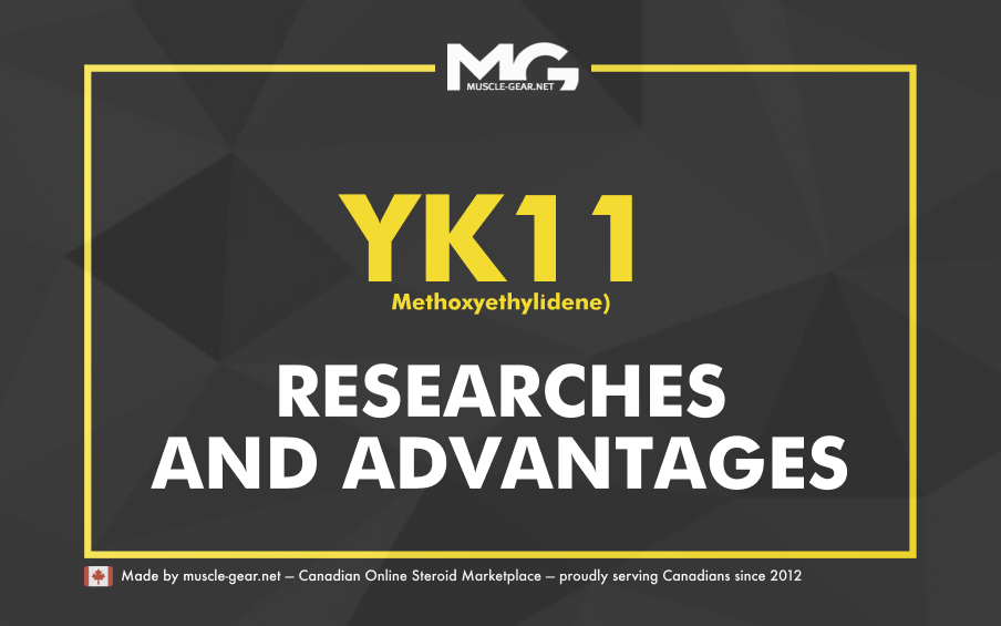 YK11