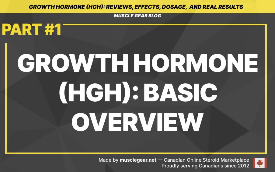 Growth Hormone (HGH): basic overview