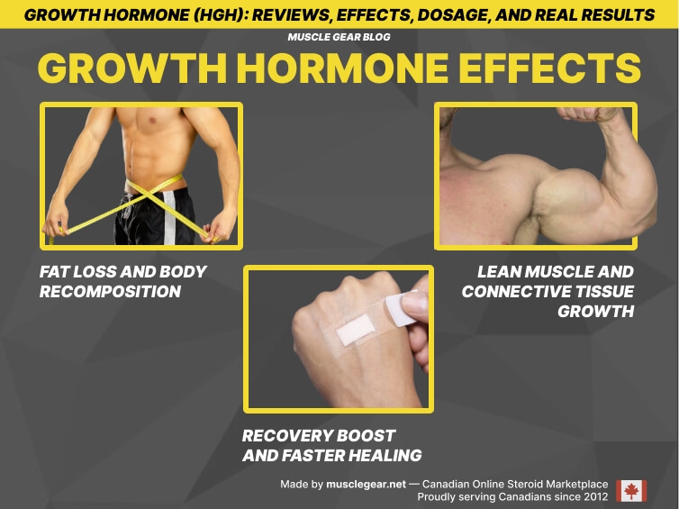 HGH effects in bodybuilding