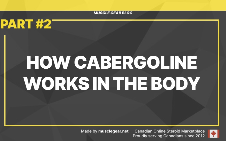 How Cabergoline works in the body